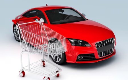 Skoda Rapid 1.6 TDI GreenTec Tavsiye edenler: Kronik Sorunları