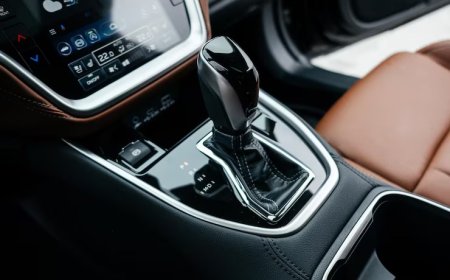 Porsche Panamera Turbo Tavsiye edenler: Deneyimler