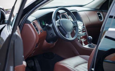 Tesla Model S P90D Tavsiye edenler: Şikayetler