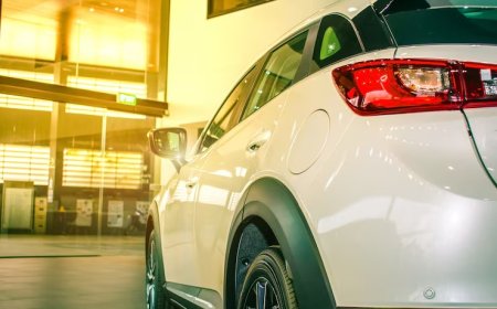 Tata Xenon 4x2 Tavsiye edenler: Deneyimler