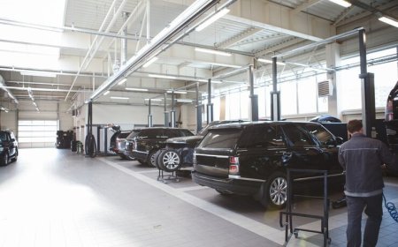 Partner 1.4 XR Tavsiye edenler: Deneyimler