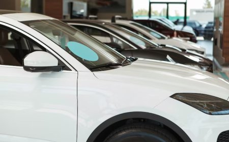 Çeki Demiri Ruhsata İşletme Maliyeti Ne Kadar?