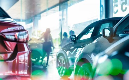 Viano 2.0 CDI Trend Kısa Tavsiye edenler: Kronik Sorunları